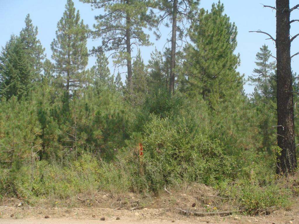 NNA Roop Rd. - Photo 1