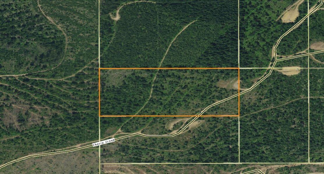 20 Acres Cherry Creek Rd - Photo 1