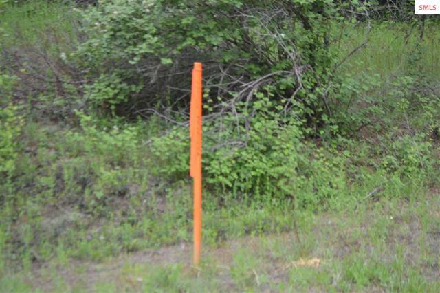 382 Toad Rd - Photo 1