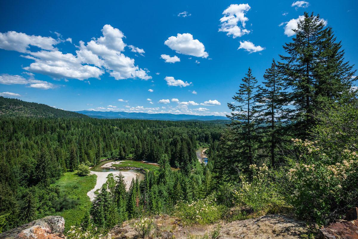 Zephyr Hills Drive - Photo 1