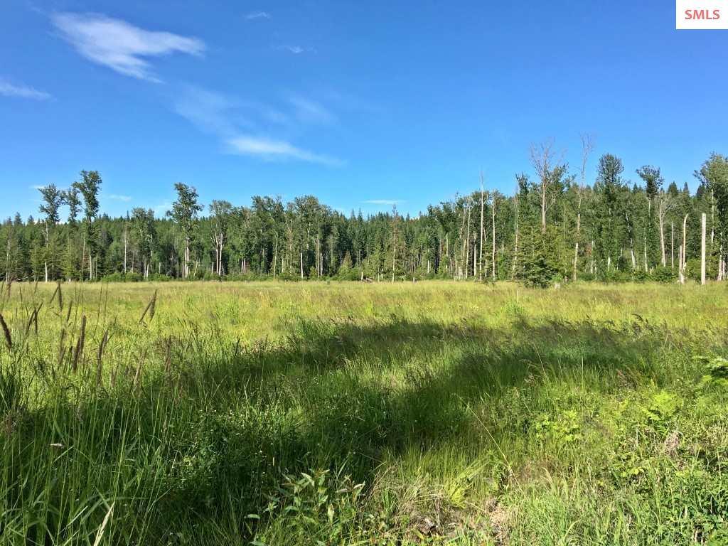 4 Lightfoot Dr - Photo 1
