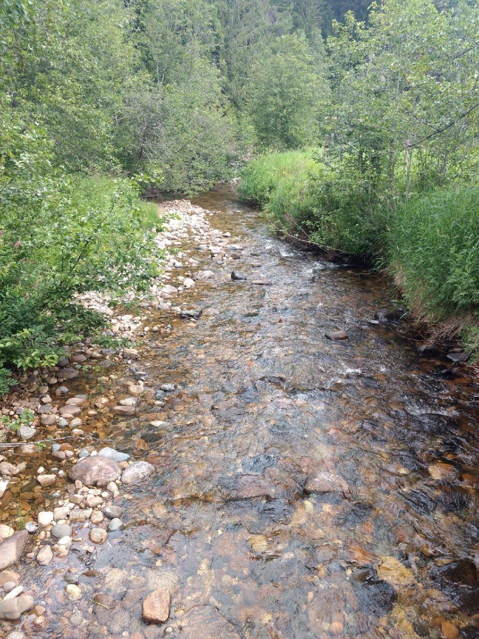 1007 Ruby Creek - Photo 1