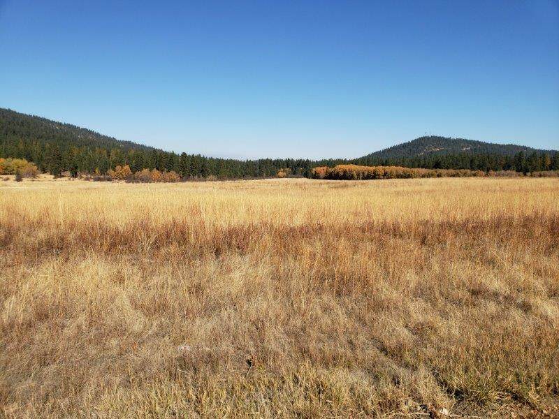 NNA Hwy 95/County Line Rd - Photo 1 NNA Hwy 95/County Line Rd - Photo 1