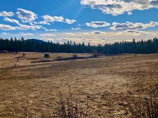 NKA Dodd Rd 10 Acres - Photo 1