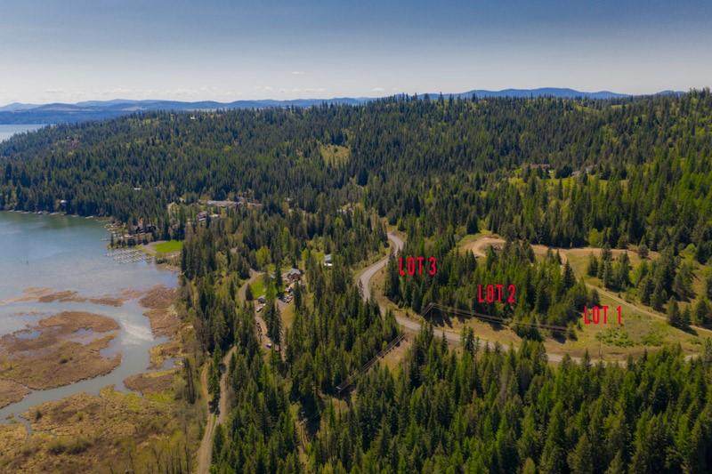 10550 Vogel Rd - Photo 1
