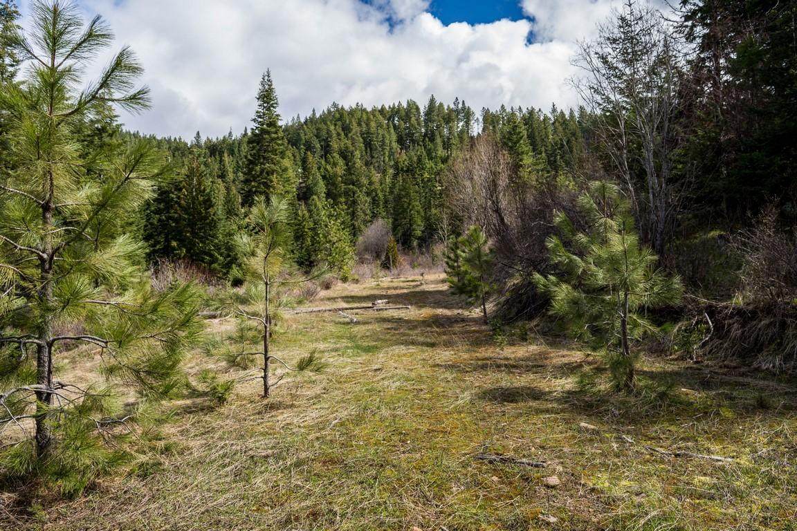 23479 Eagle Peak Rd - Photo 1