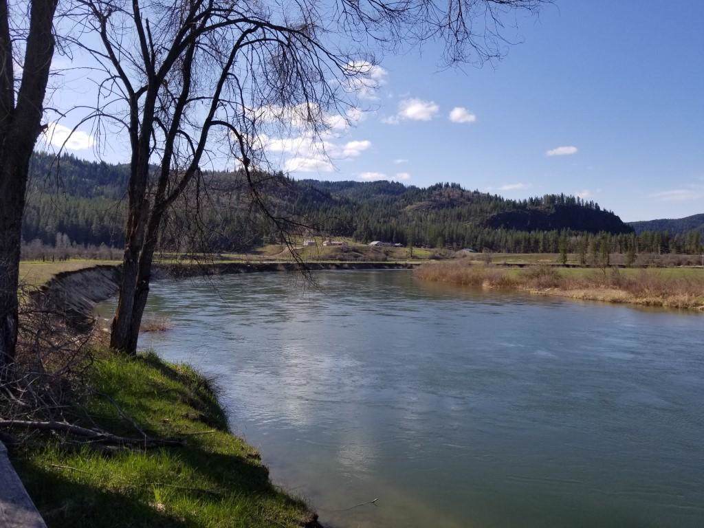 155 Quartz Creek - Photo 1