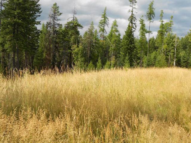 NNA Camp Nine Rd. - Photo 1