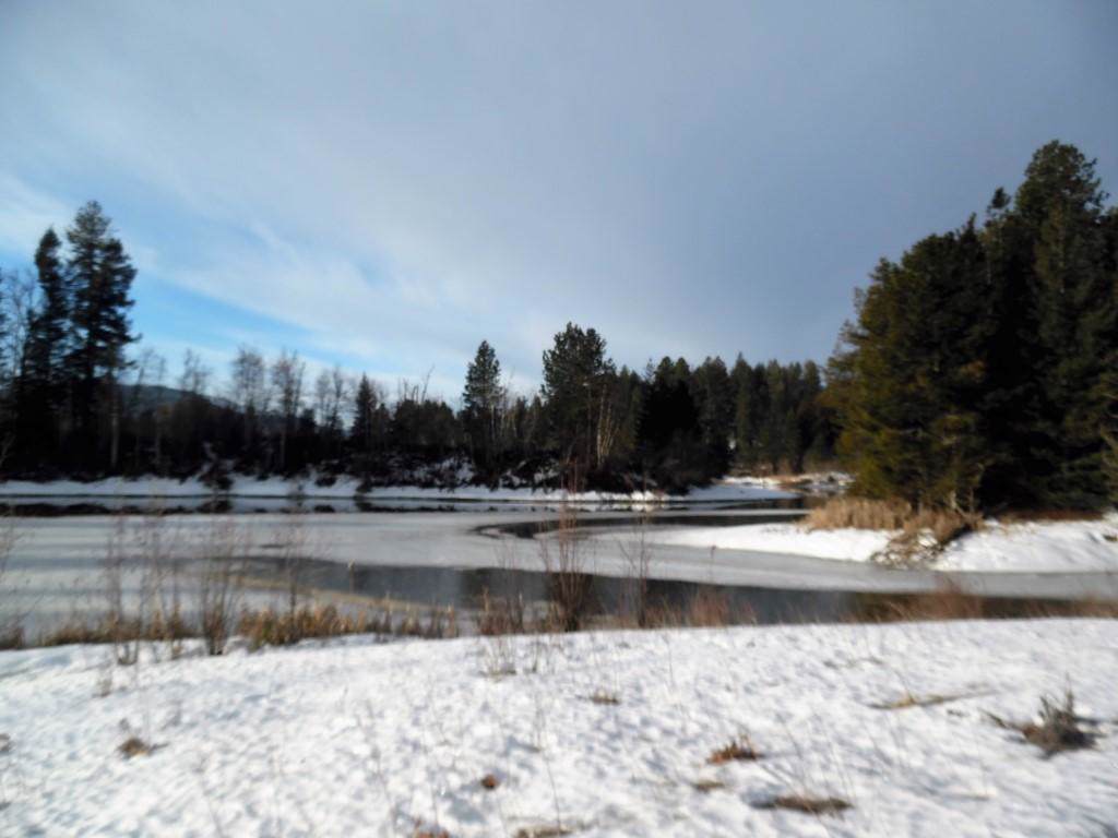 280 Canoe Cove Ln - Photo 1