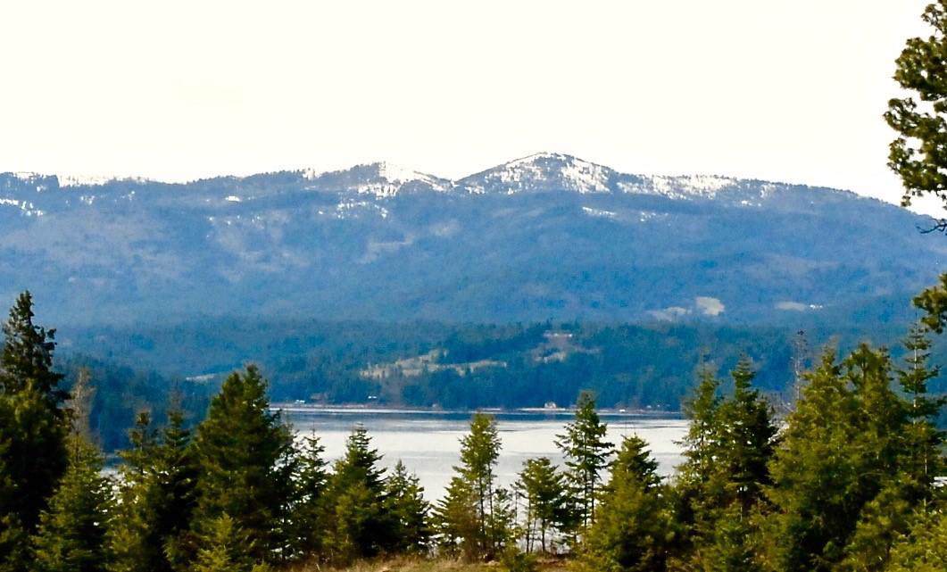 L5B4 Hana Rd - Photo 1
