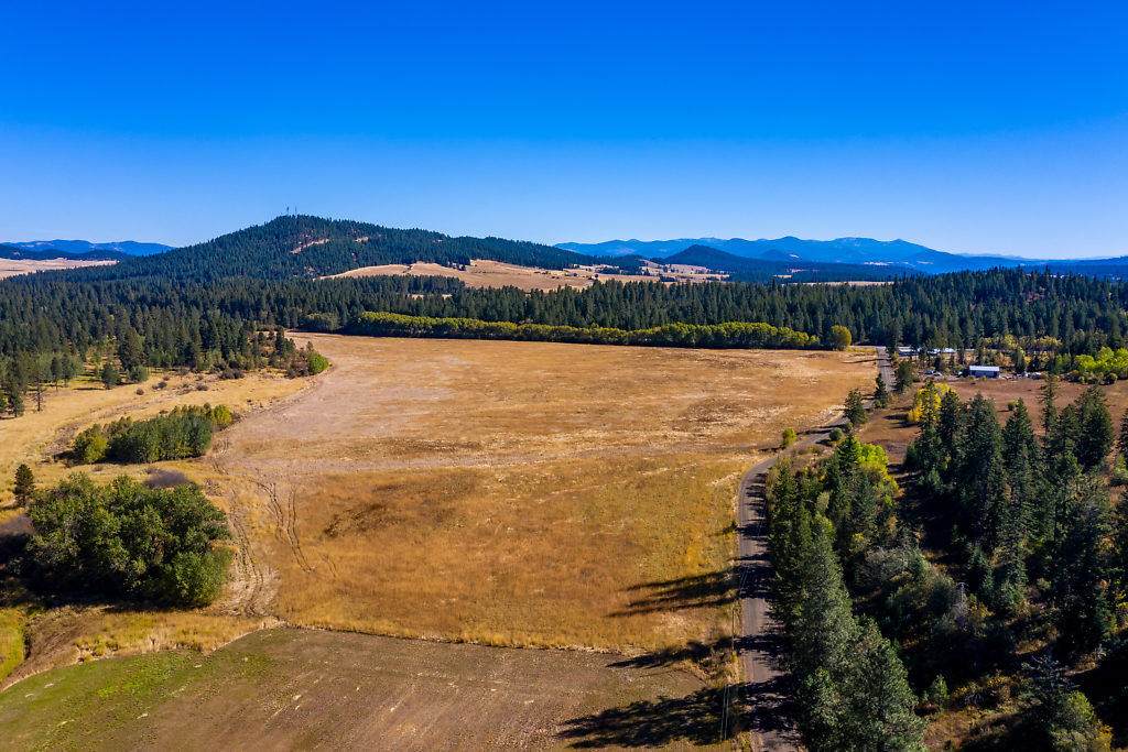 Parcel 1 Rock Creek W County Line - Photo 1