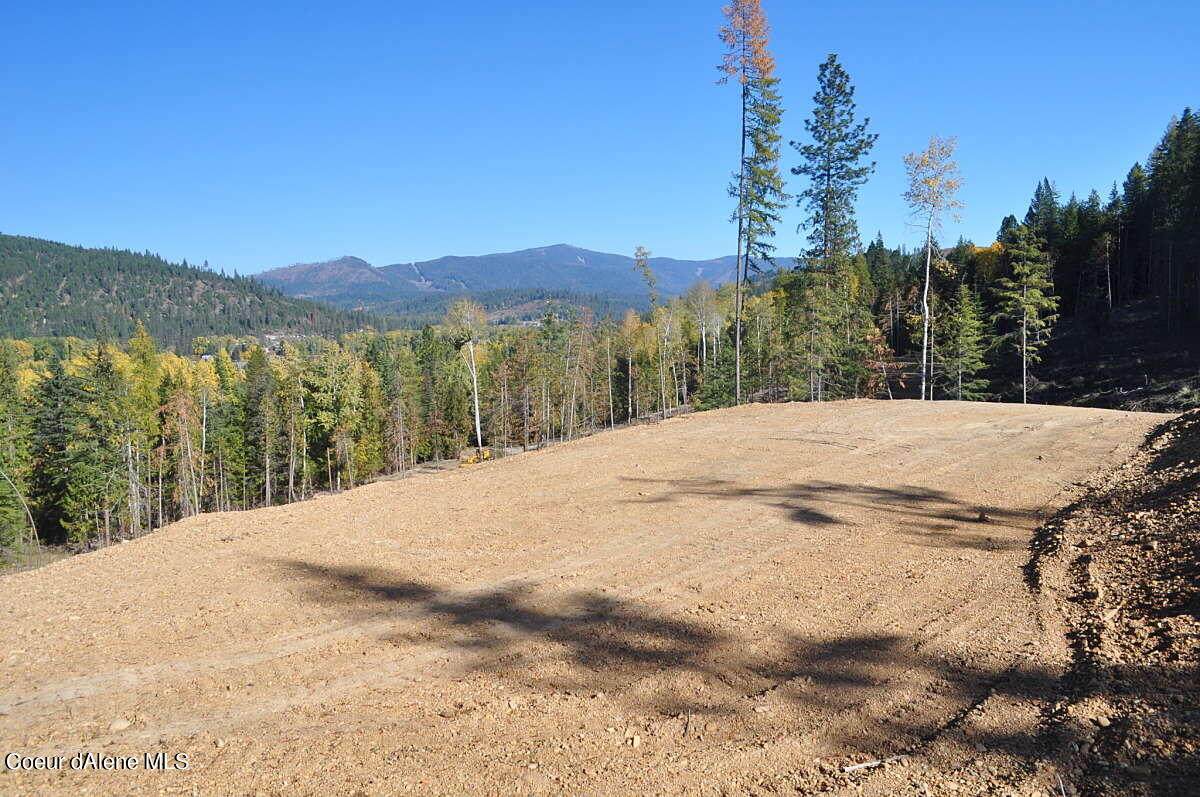42602 Silver Valley Rd - Photo 1