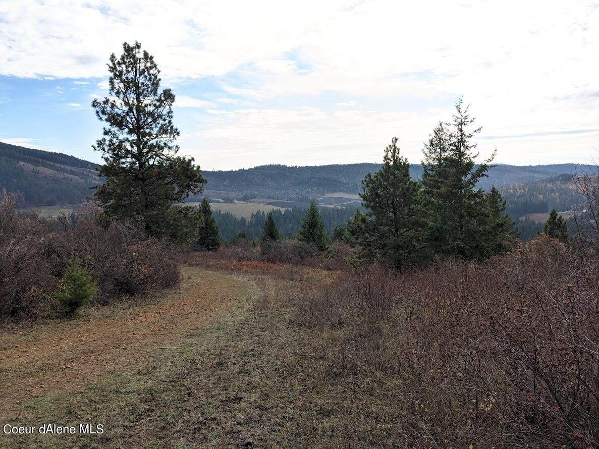 NNA Agency Rd - Photo 1