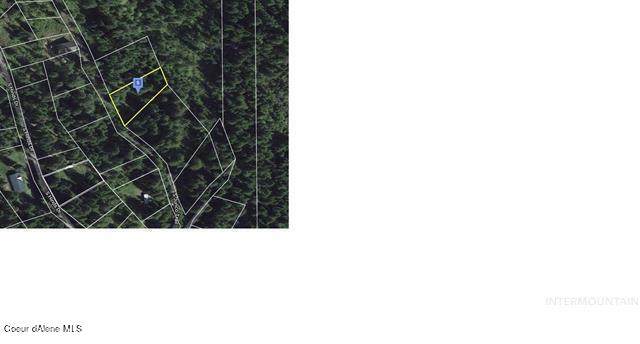 Junco Trail - Photo 1