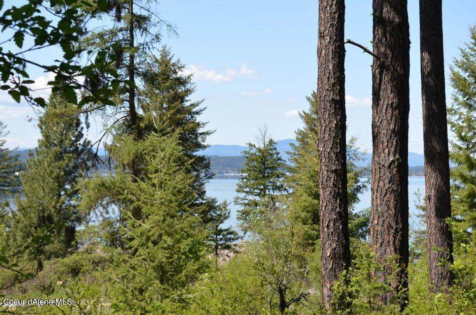 Lot 4 Jackleg Trail - Photo 1