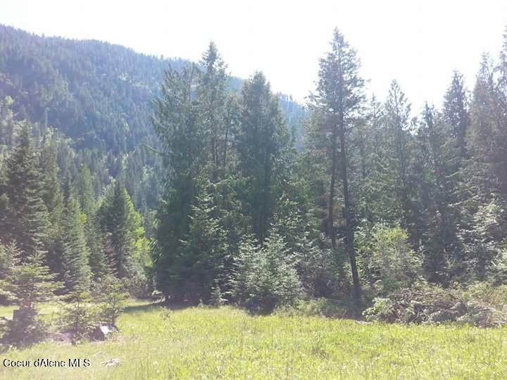 Dolly Varden Ave - Photo 1