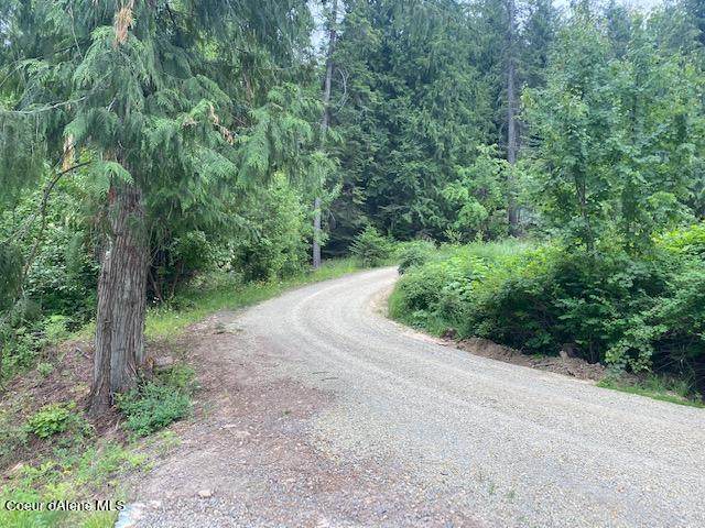 NKA Black Lake Shores - Photo 1
