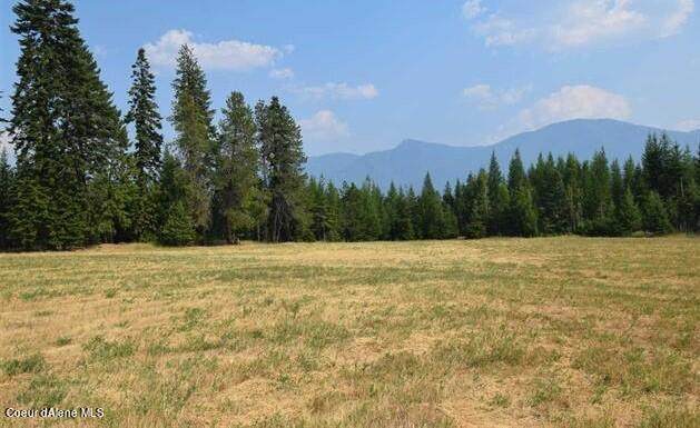 NNA Paradise Valley Rd - Photo 1