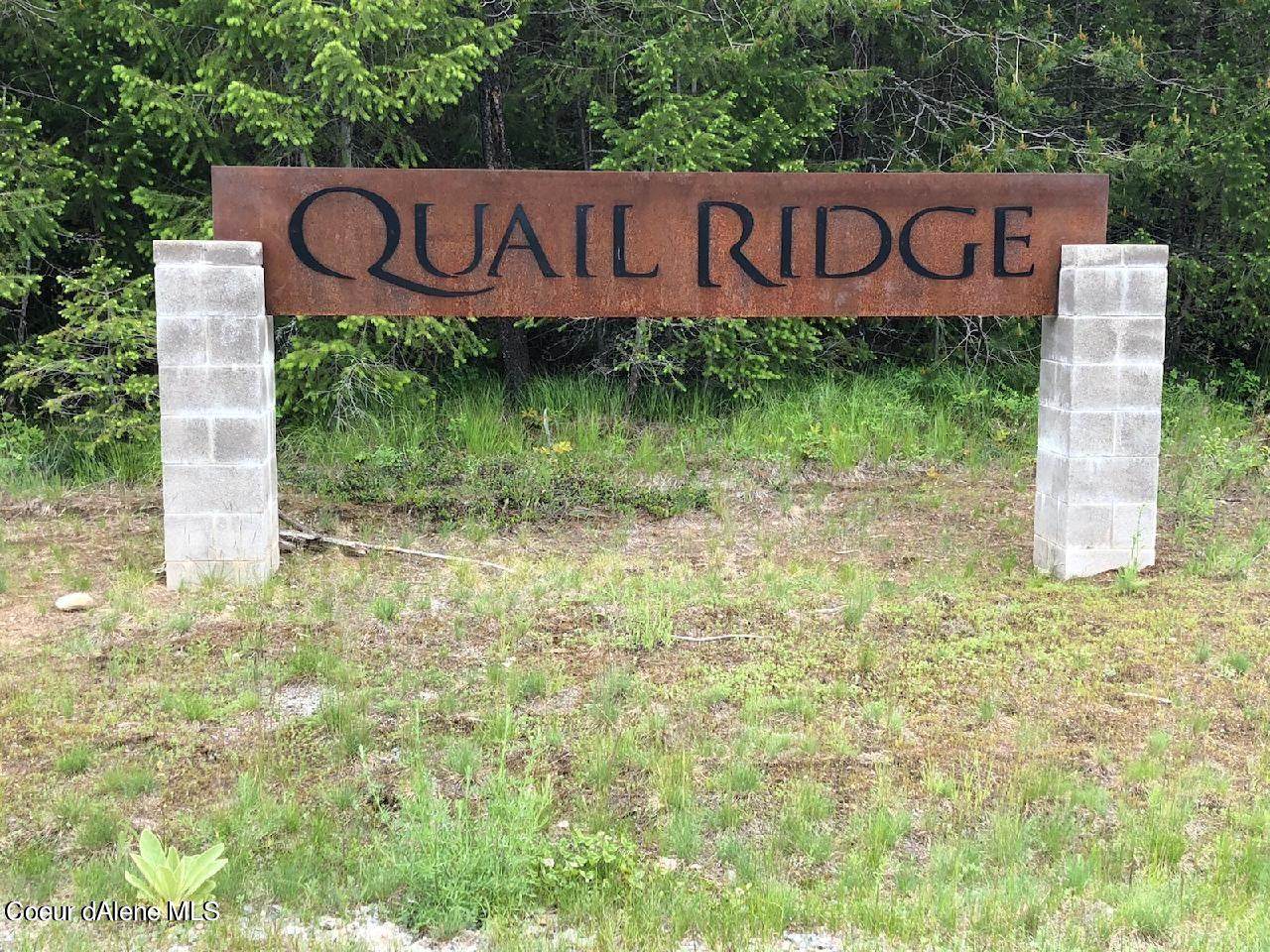 Lot 1blk 2 Quail Ridge 3rd Addition - Photo 1