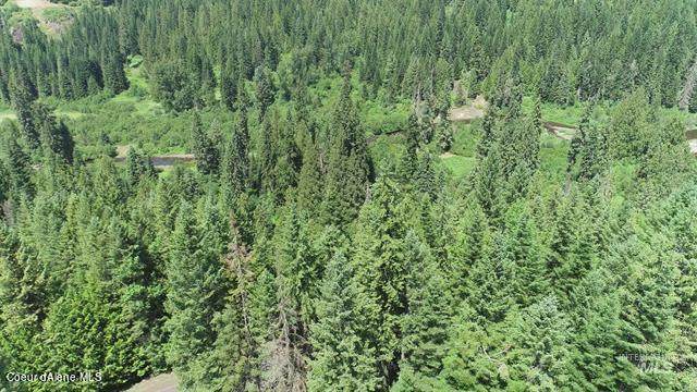 NKA Lolo Creek Rd, Lot 2 - Photo 1