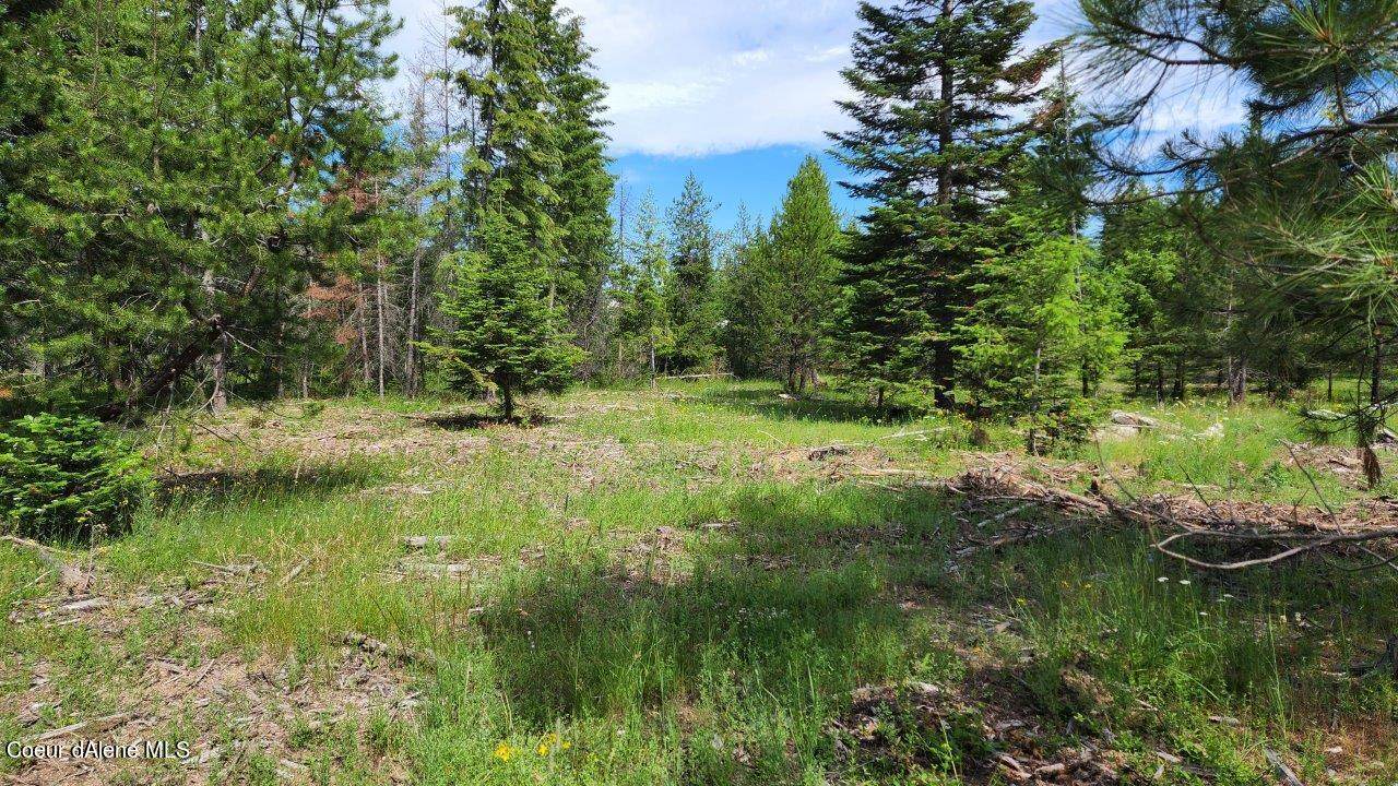 10326 Bunco Rd - Photo 1