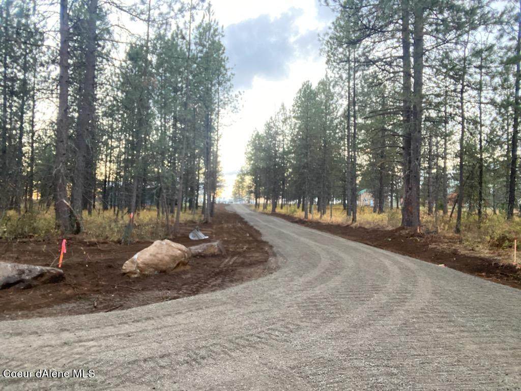 NNA Sheep Springs Rd - Photo 1