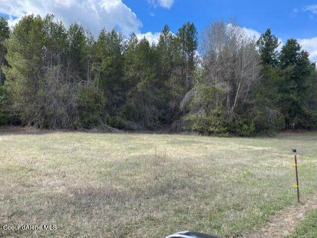 4.88 acres Nka Hwy 53 - Photo 1