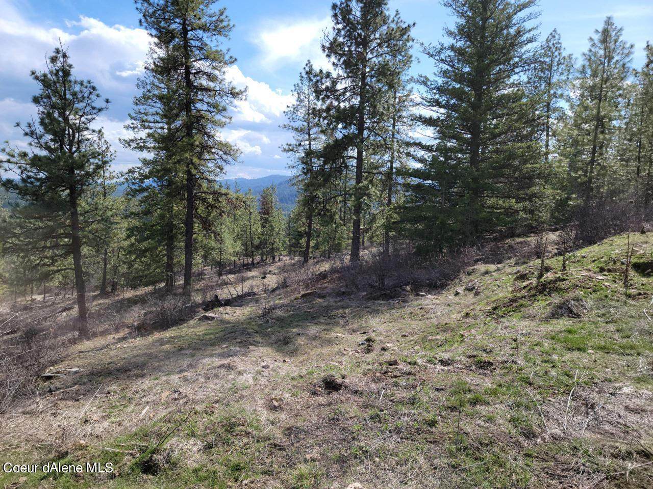 NNA Bear Ridge Trail - Photo 1
