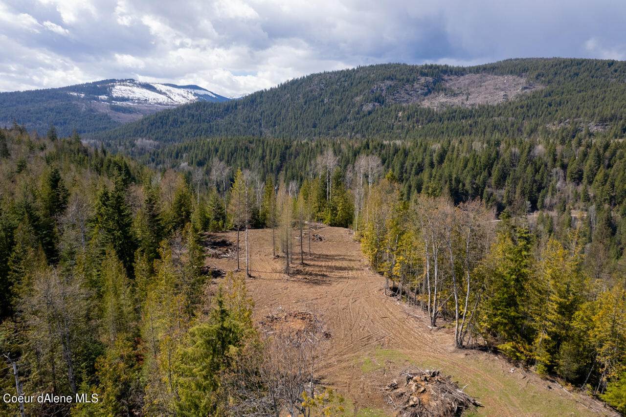 NNA Ruby Creek Rd - Photo 1