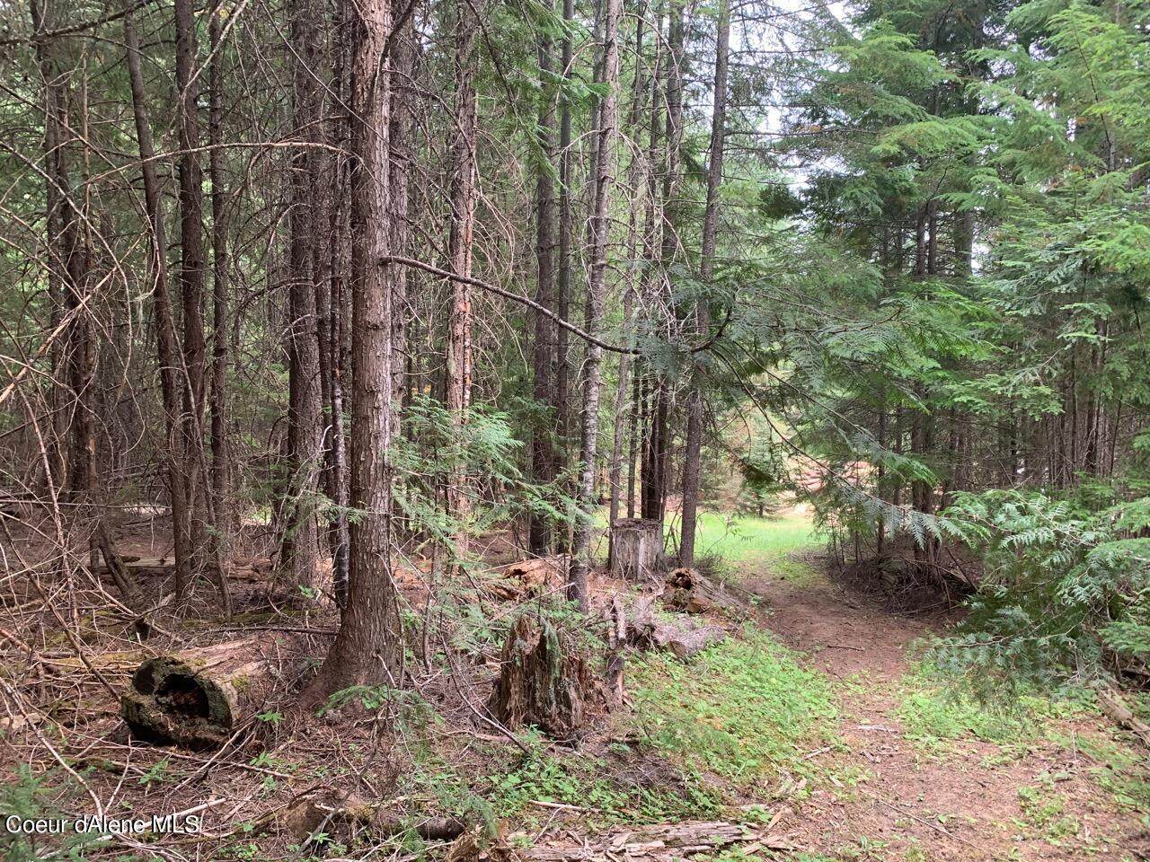 NKA Santa Creek Rd - Photo 1