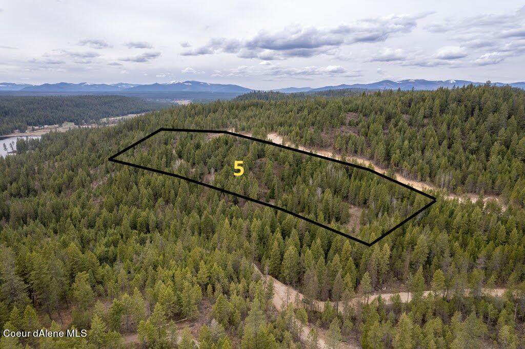 Lot 5 Kelso Woods Dr - Photo 1