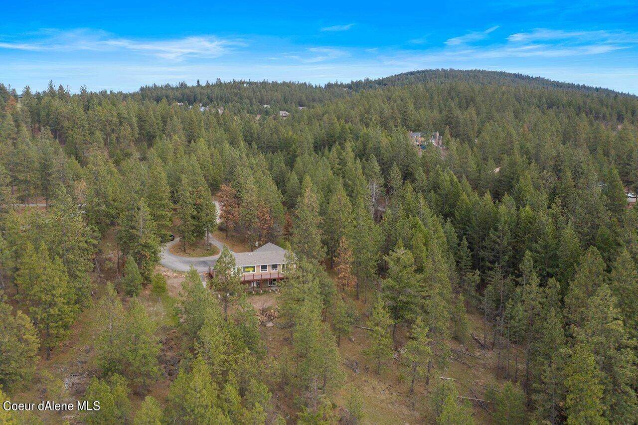 17427 Summerfield Rd - Photo 1