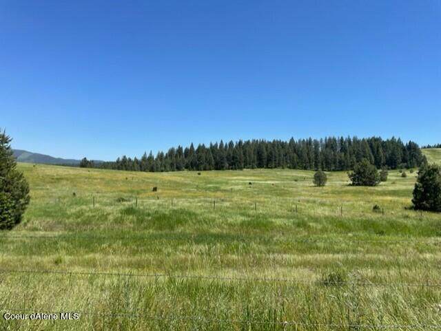 NKA Larson Rd 50+/- Acres - Photo 1