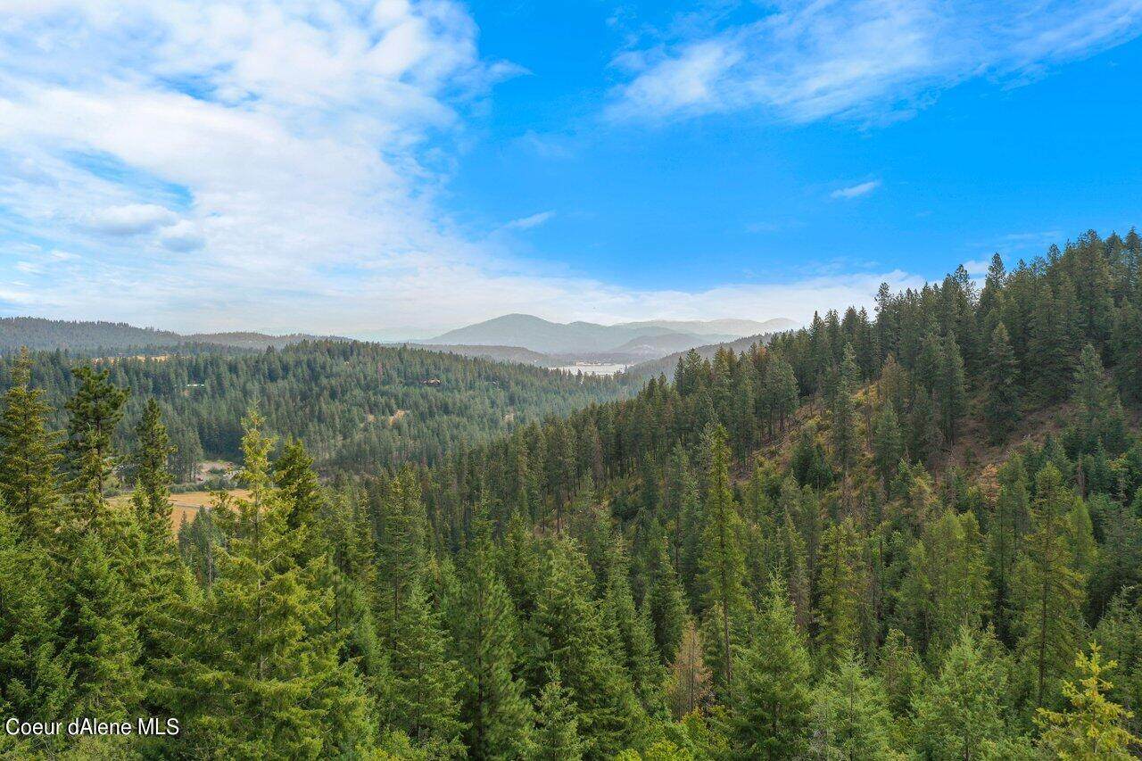 NKA Moose Canyon Rd - Photo 1