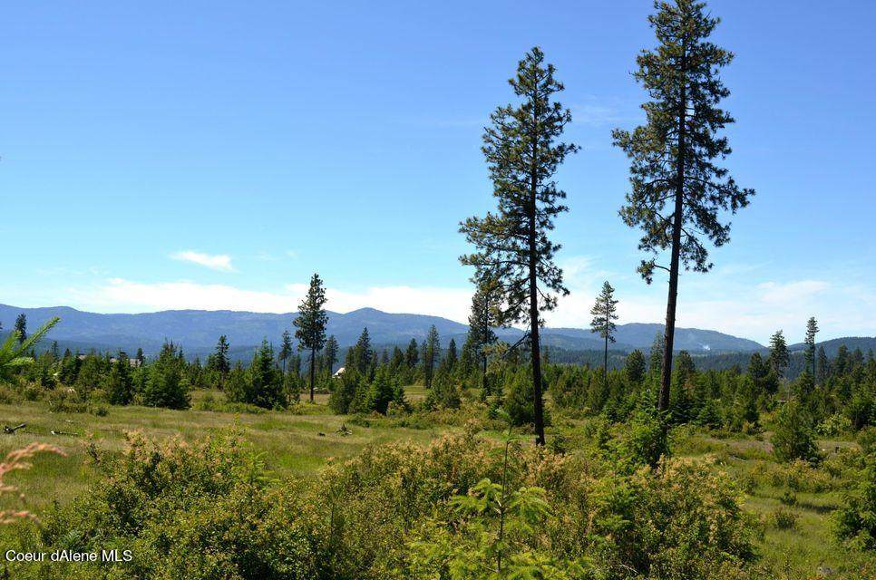 7078 Sunflower Rd - Photo 1