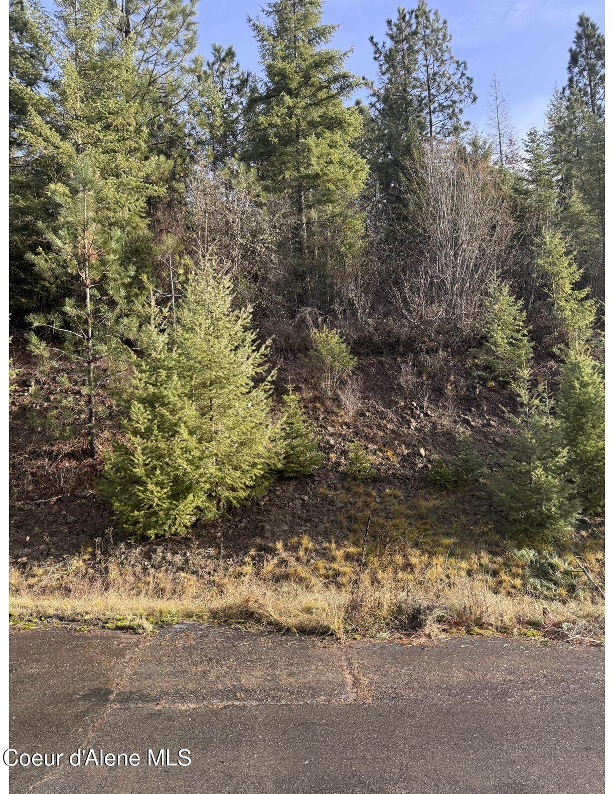 L15b1 Johnson Meadows Estates - Photo 1