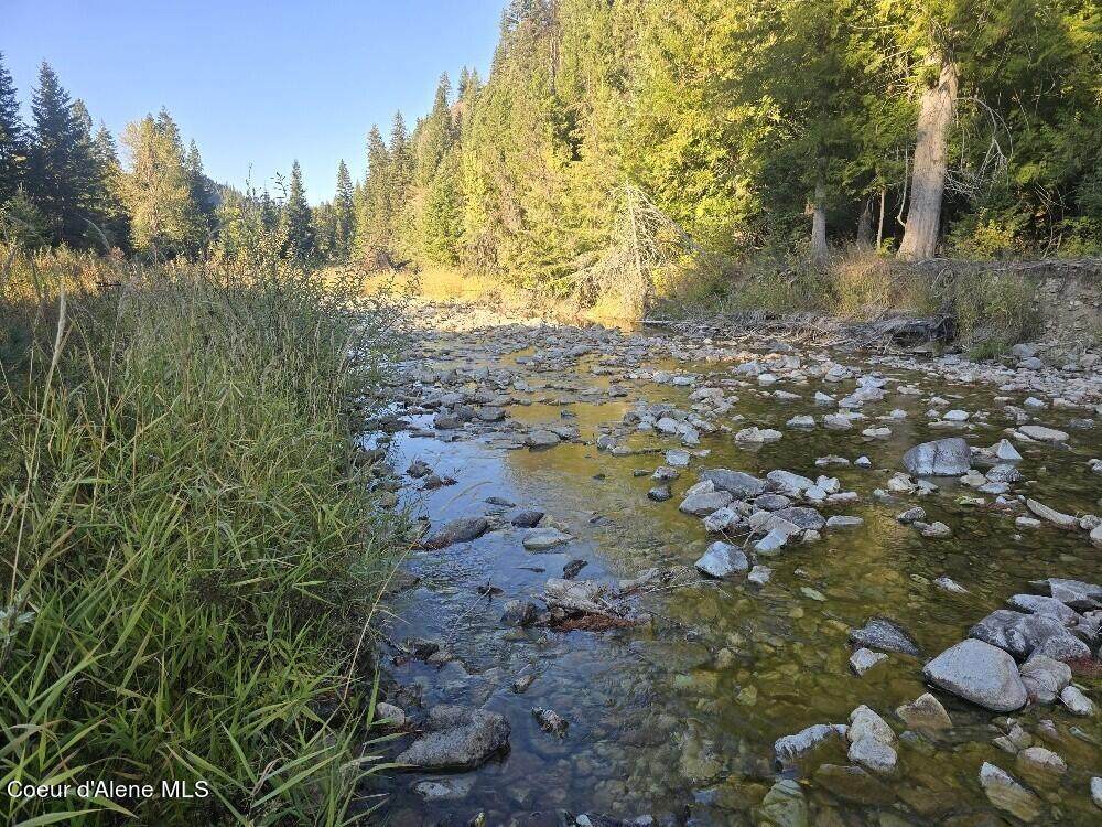3008 Fork Pine Creek - Photo 1