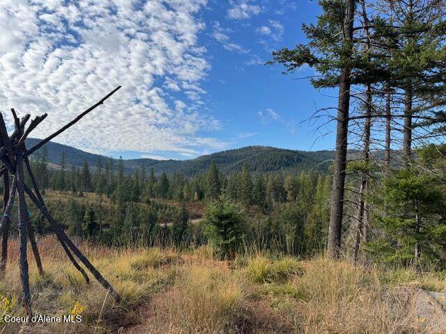 NKA 40 Acres Dole Camp Road - Photo 1