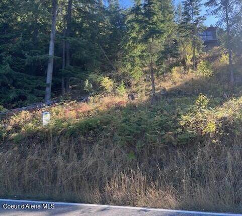 NNA Hwy 97 - Photo 1