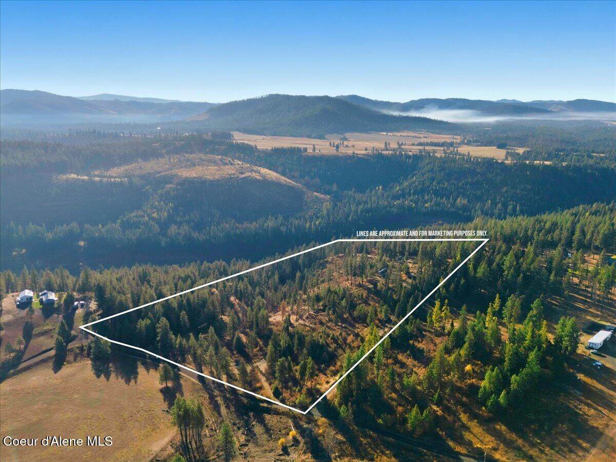 1435 Canyon Ridge Ln - Photo 1