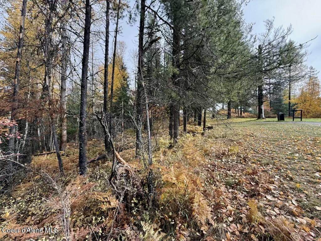 NKA Country Club Rd - Photo 1