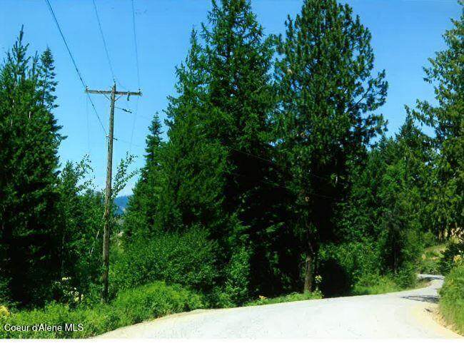 NKA Tamarack Ridge Rd - Photo 1
