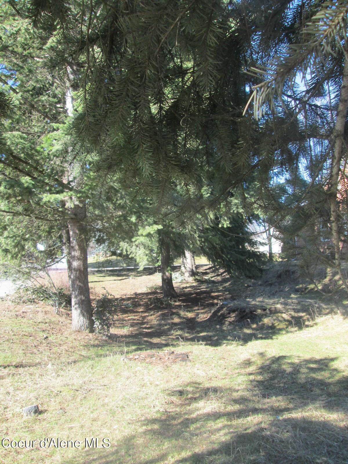 https://bt-photos.global.ssl.fastly.net/coeurdalene/orig_boomver_1_25-2483-2.jpg