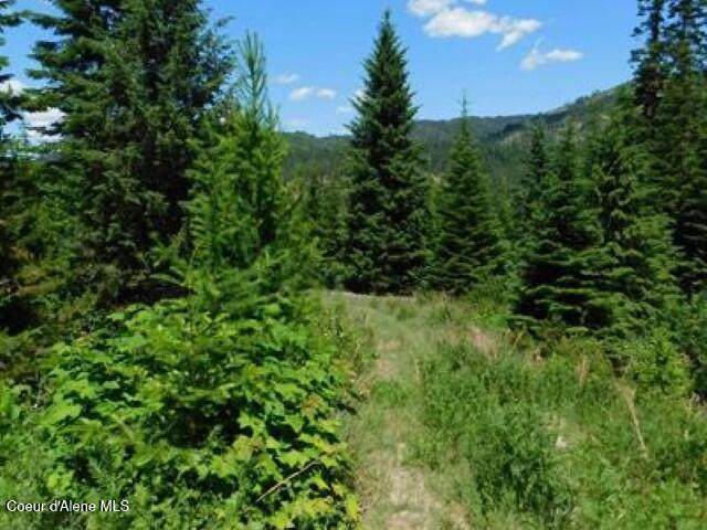 NNA Stanley Dr - Photo 1