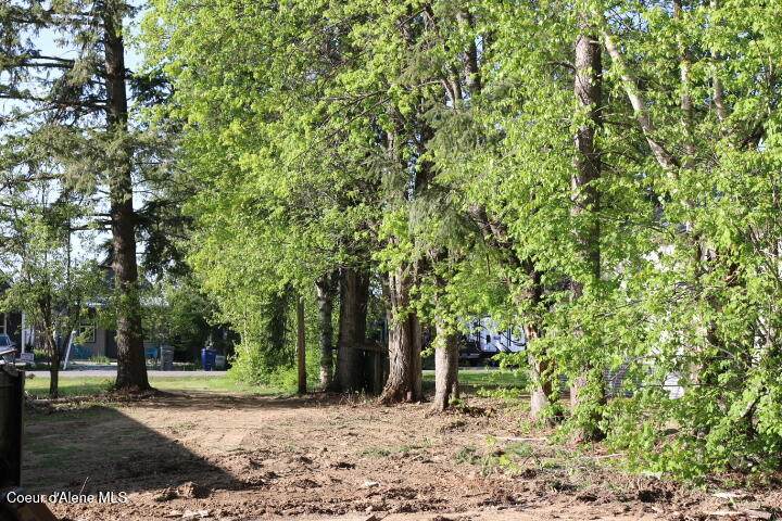 NNA lot 4 Washington Ave - Photo 1