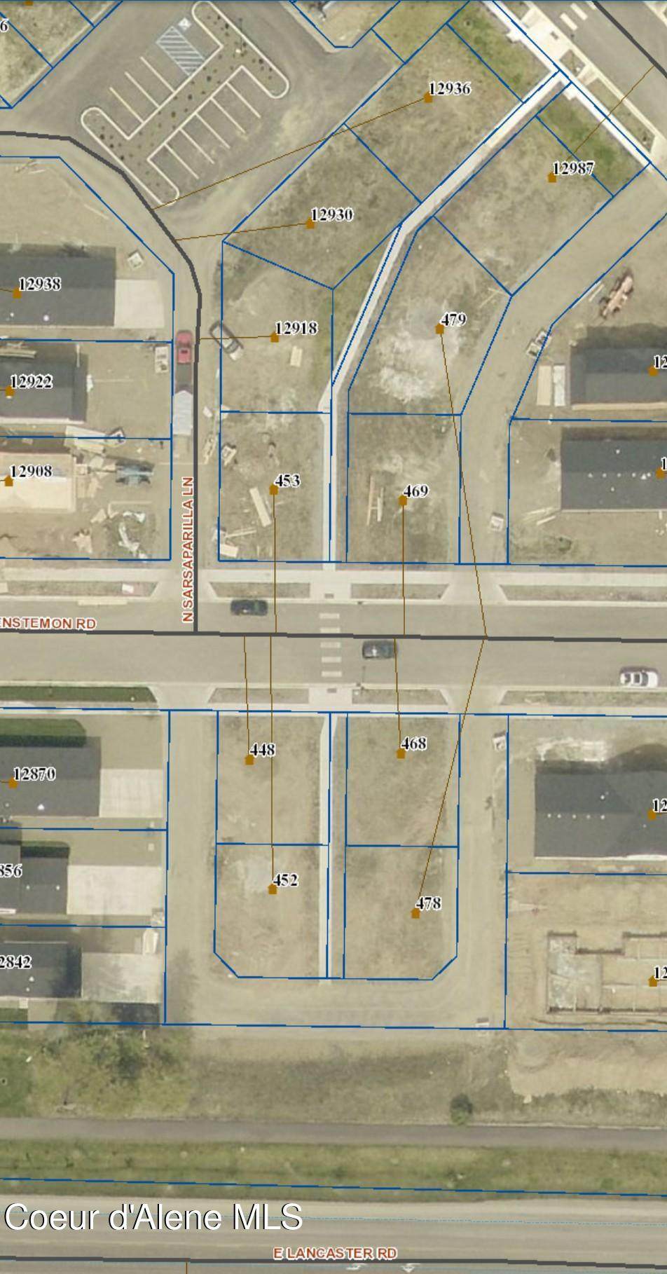 478 Penstemon - Photo 1