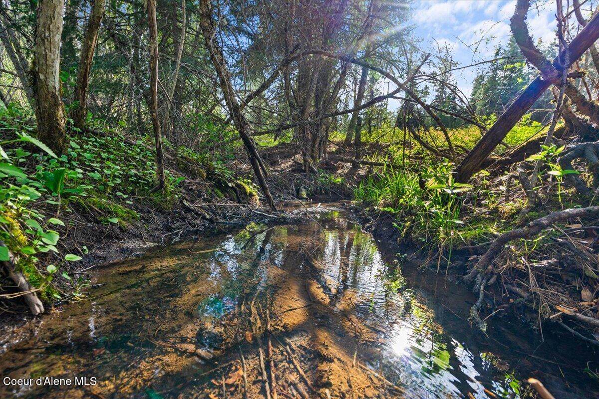 NKA Mutch Creek Road 8.3 - Photo 1