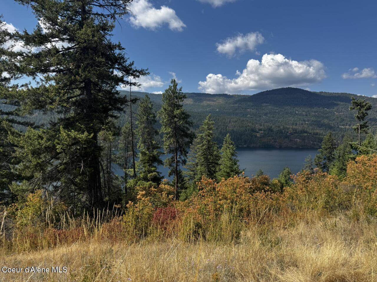 NNA Eureka Rd. - Photo 1