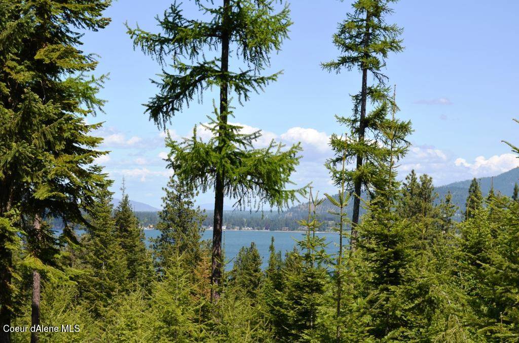 5287 Jackleg Trl - Photo 1