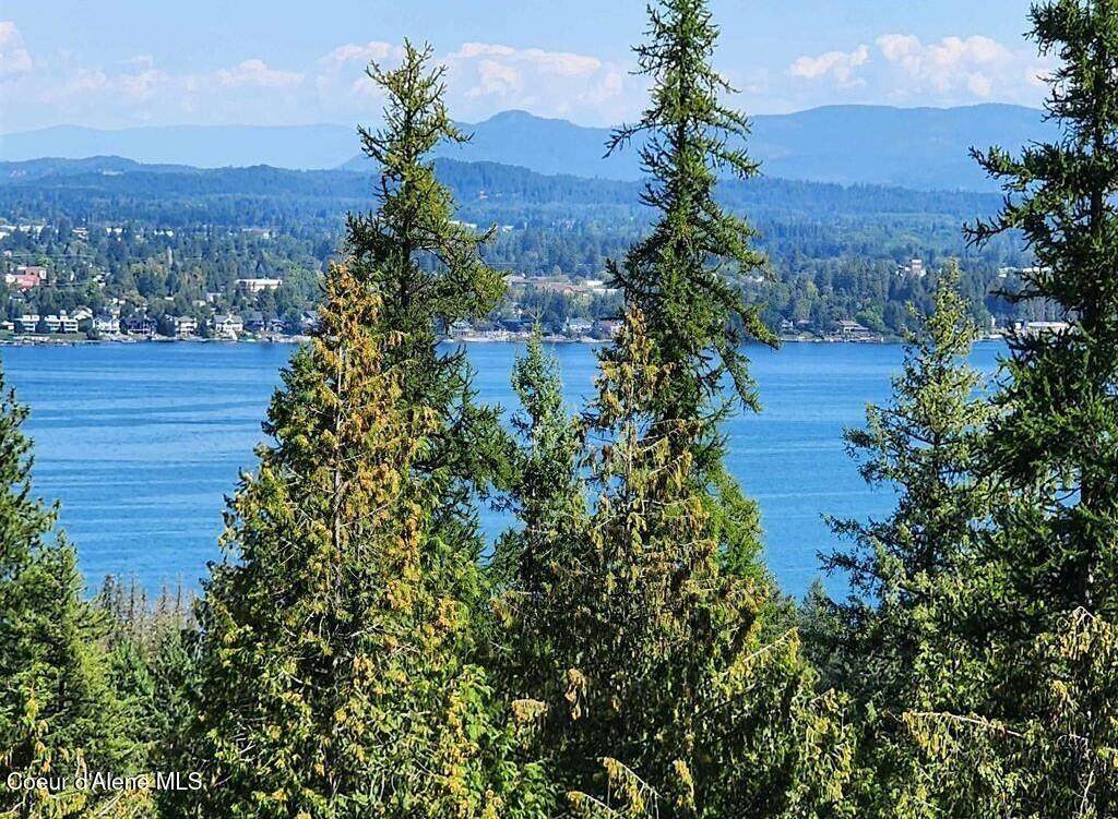 Lot 3 Mountain Ridge Dr - Photo 1